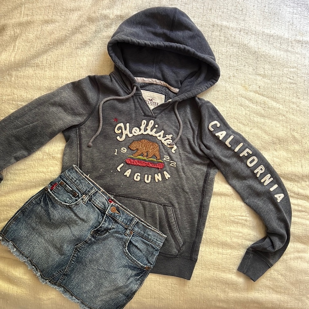 Medium Dark Grey Hollister Hoodie